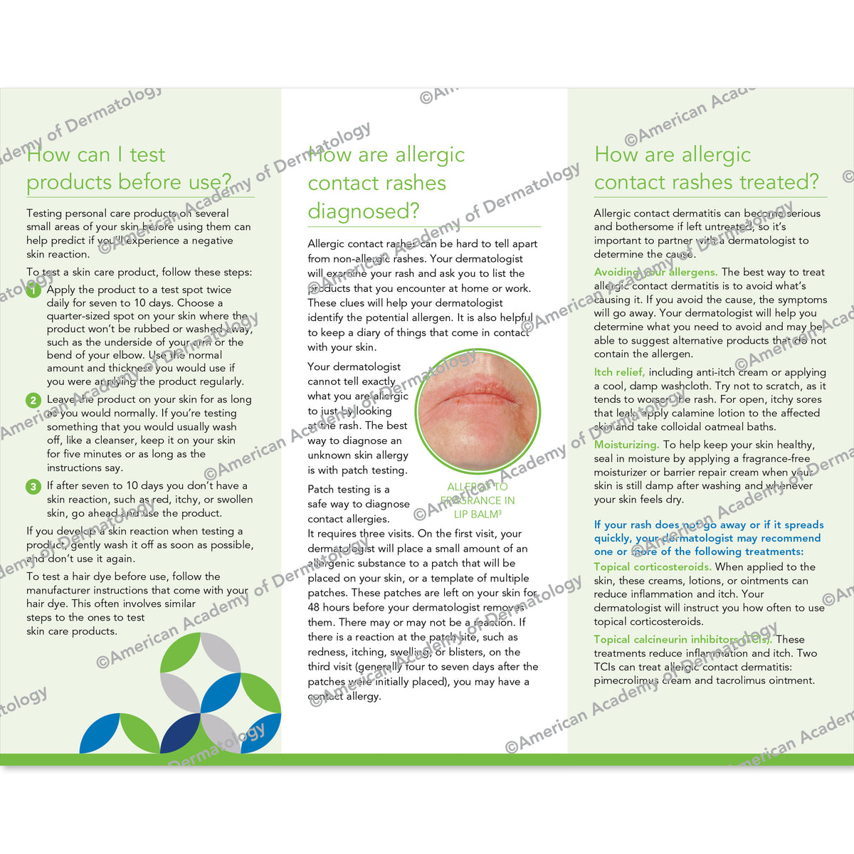 Allergic Contact Rashes Pamphlet