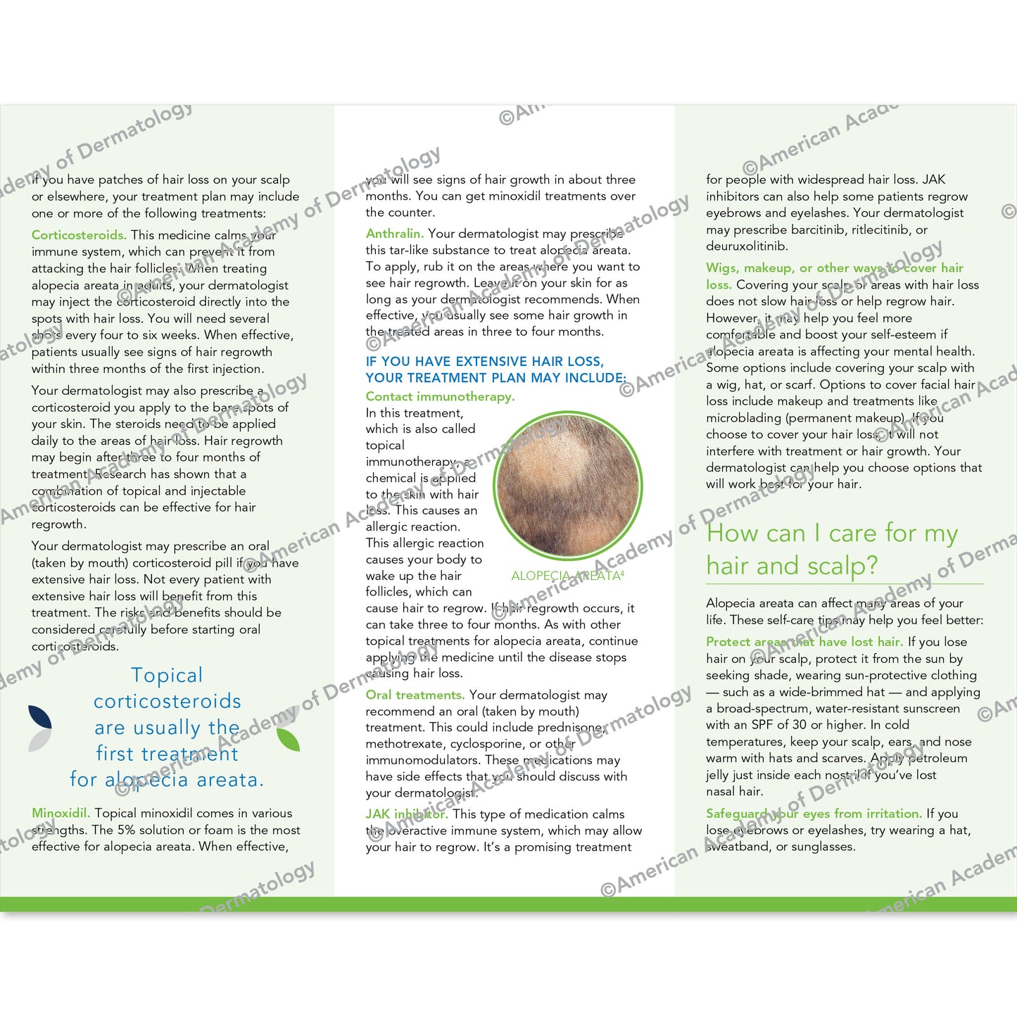 Alopecia Areata Pamphlet