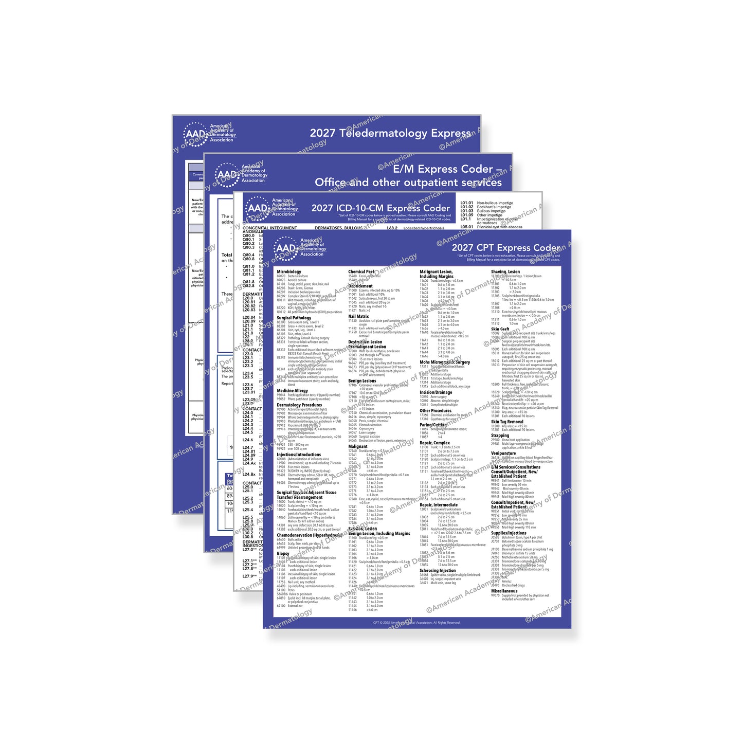 2027 Derm Essentials Pack