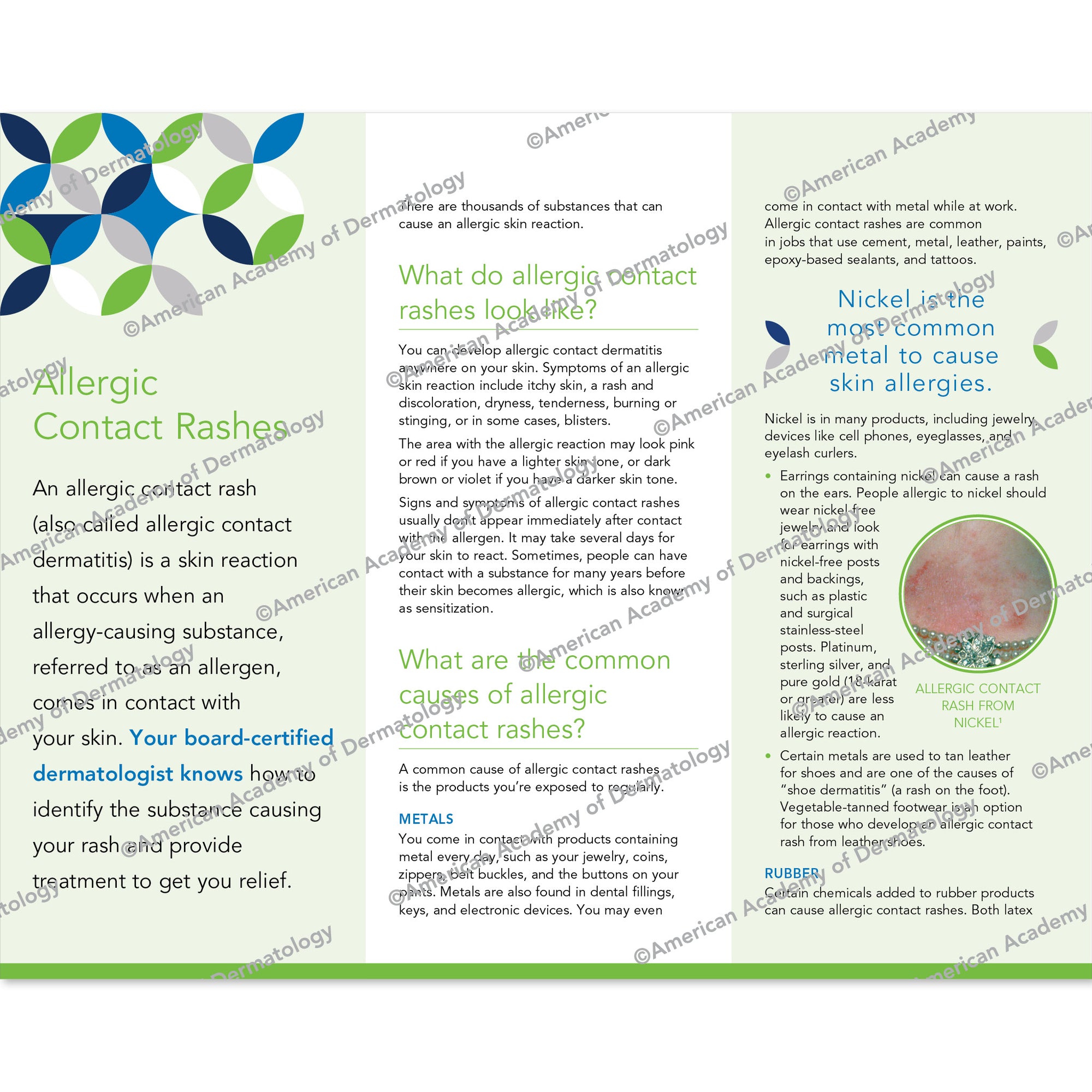 Allergic Contact Rashes Pamphlet – AAD Shop