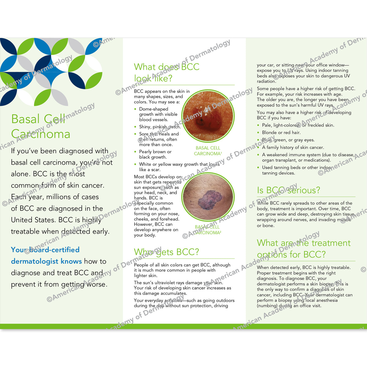 Basal Cell Carcinoma Pamphlet