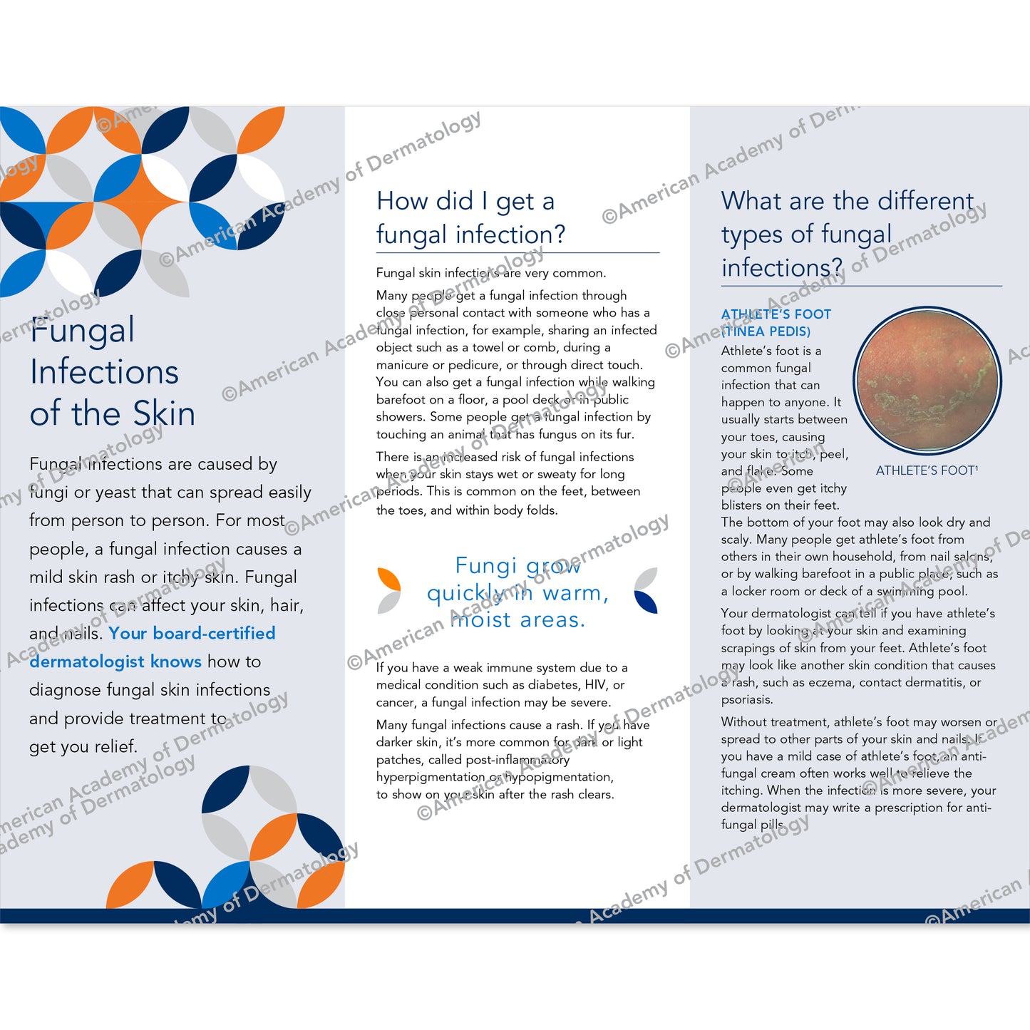 Fungal Infections of the Skin Pamphlet