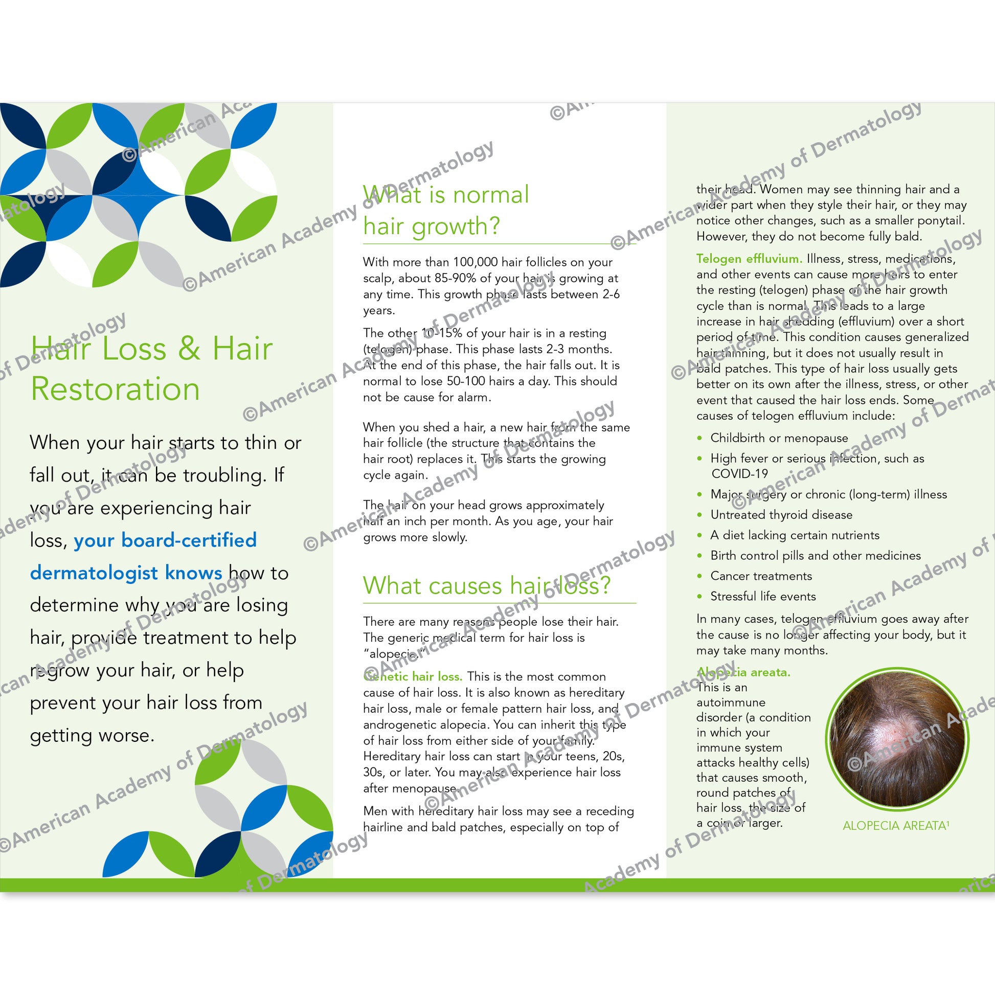 Hair Loss & Hair Restoration Pamphlet