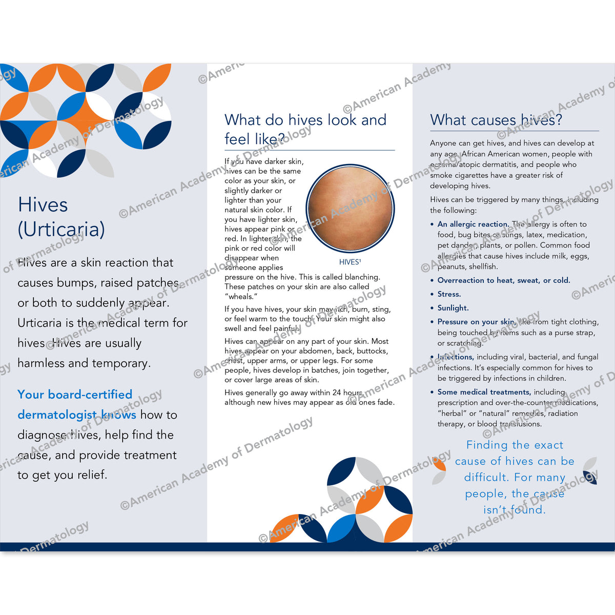 Hives (Urticaria) Pamphlet