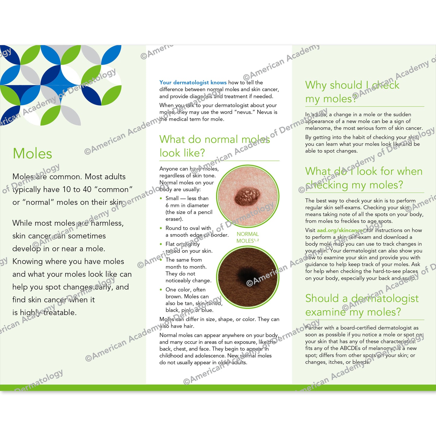 Moles Pamphlet