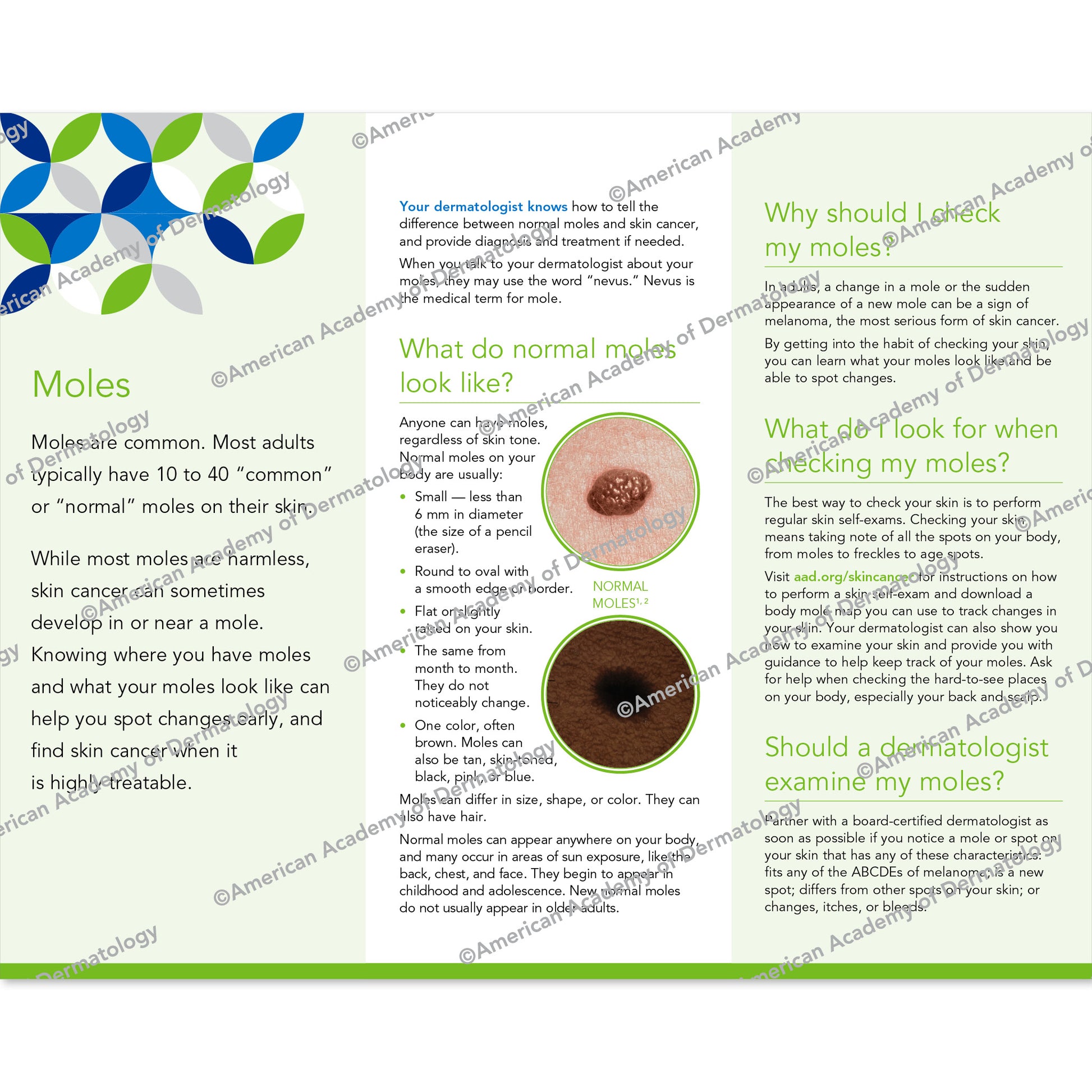Moles Pamphlet
