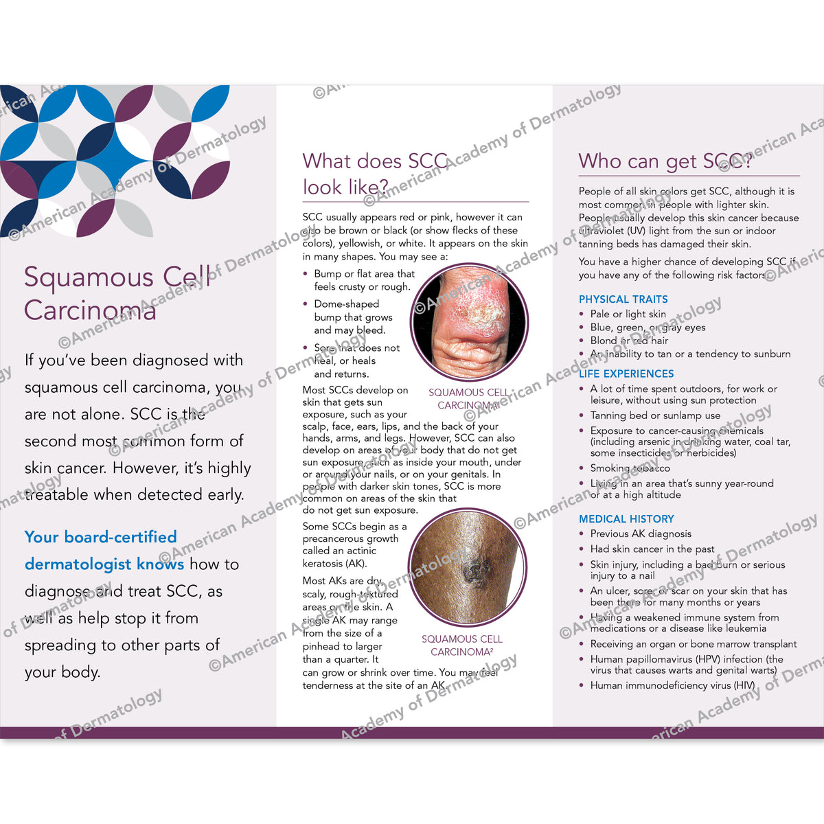 Squamous Cell Carcinoma Pamphlet