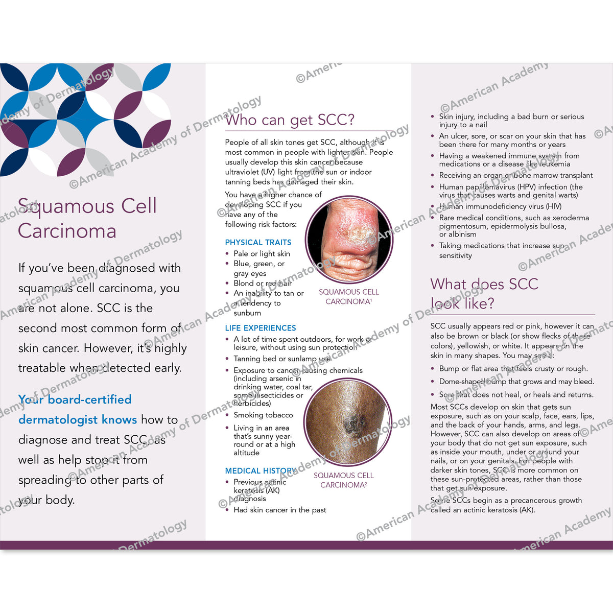 Squamous Cell Carcinoma Pamphlet