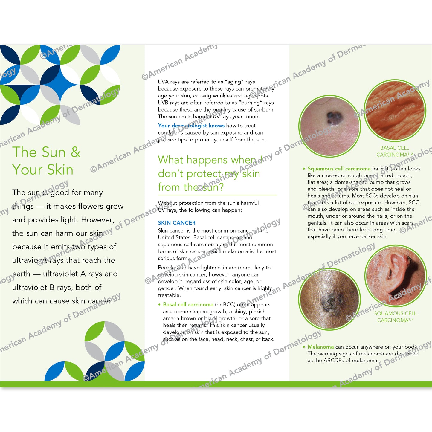 The Sun & Your Skin Pamphlet