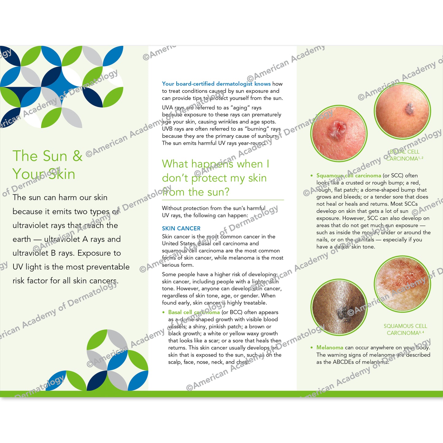 The Sun & Your Skin pamphlet by AAD. 