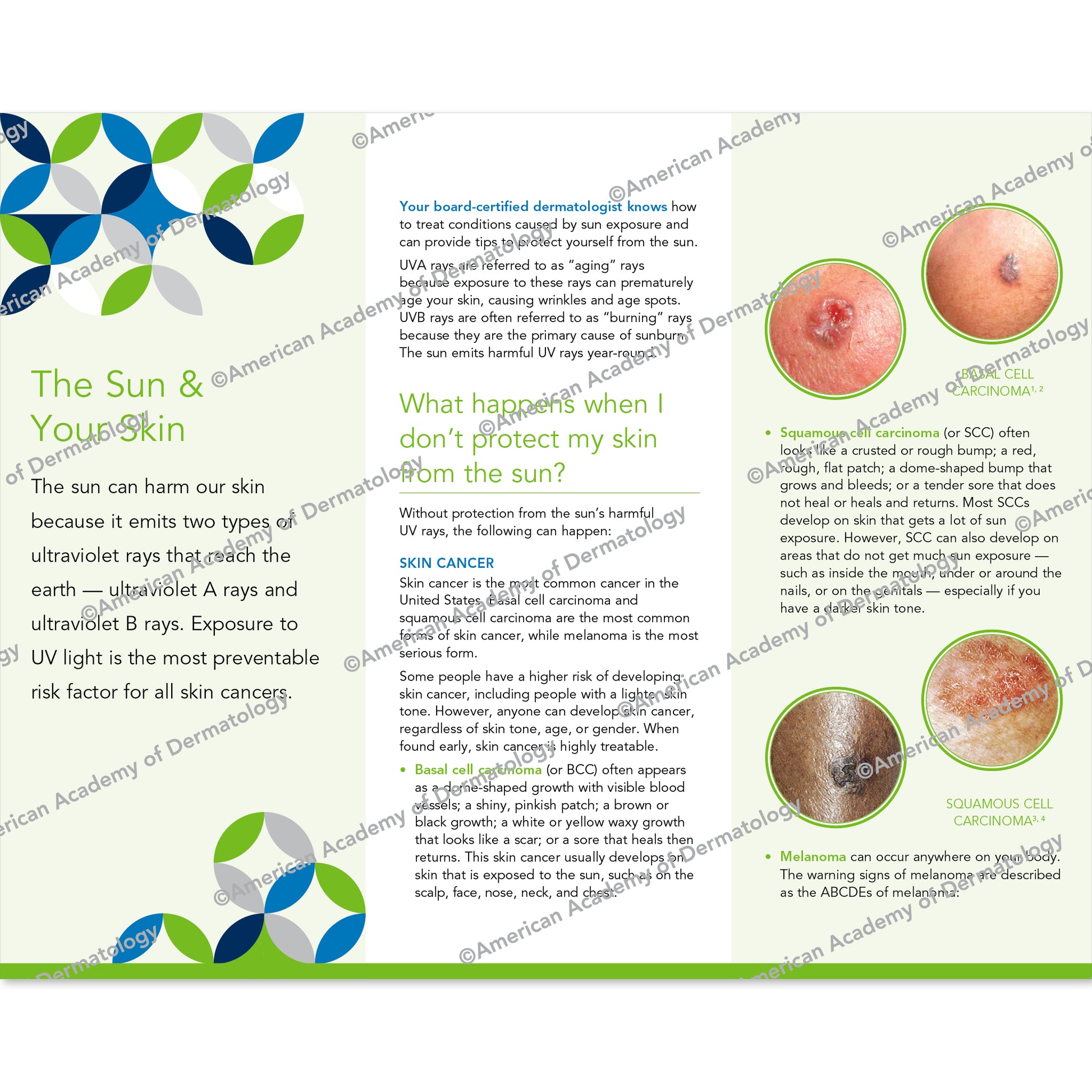 The Sun & Your Skin pamphlet by AAD. 