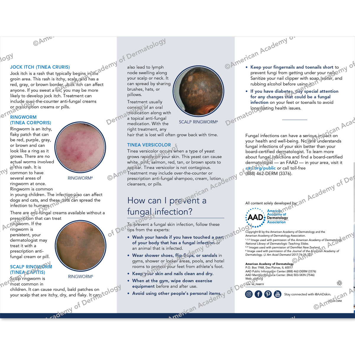 Fungal Infections of the Skin Pamphlet