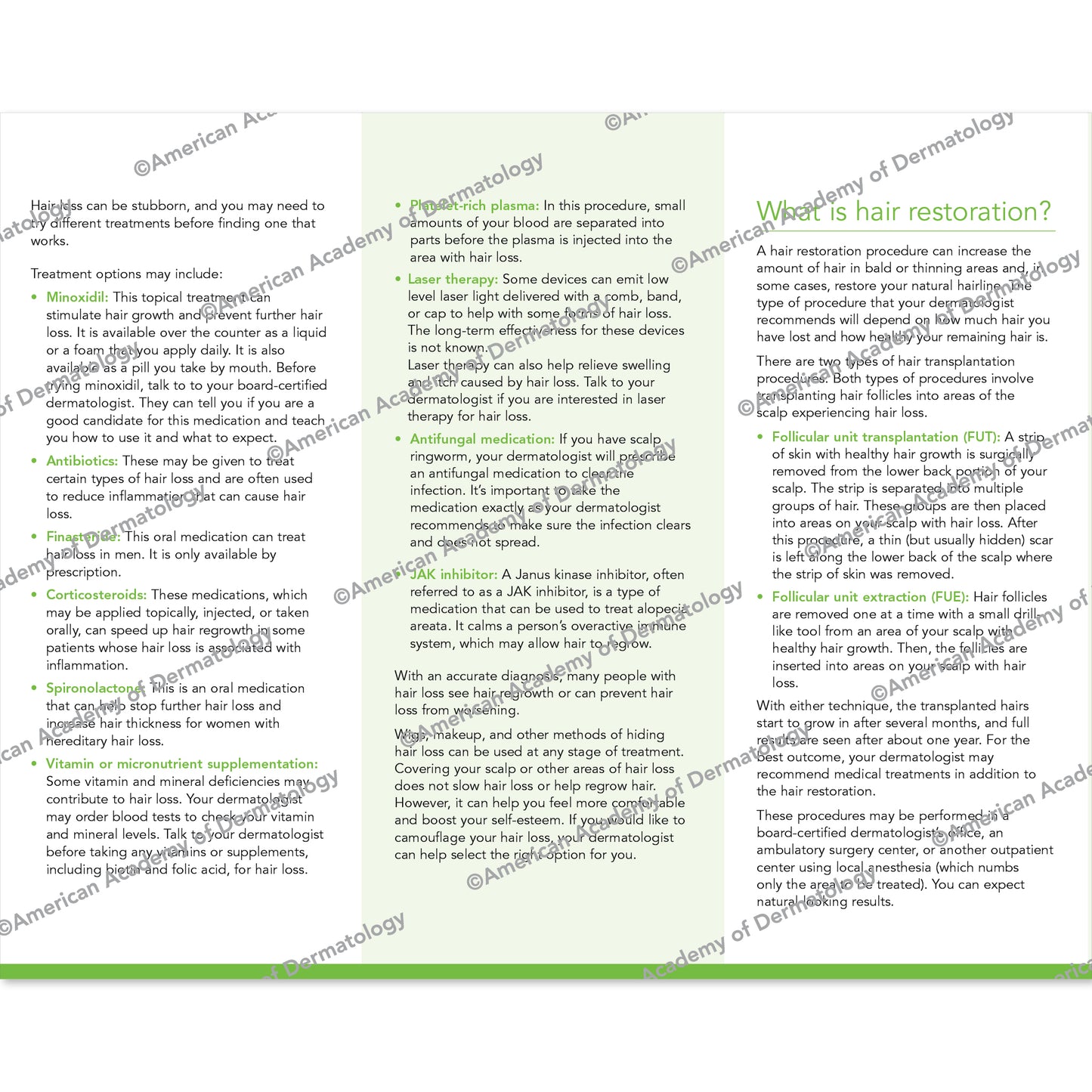 Hair Loss & Hair Restoration Pamphlet
