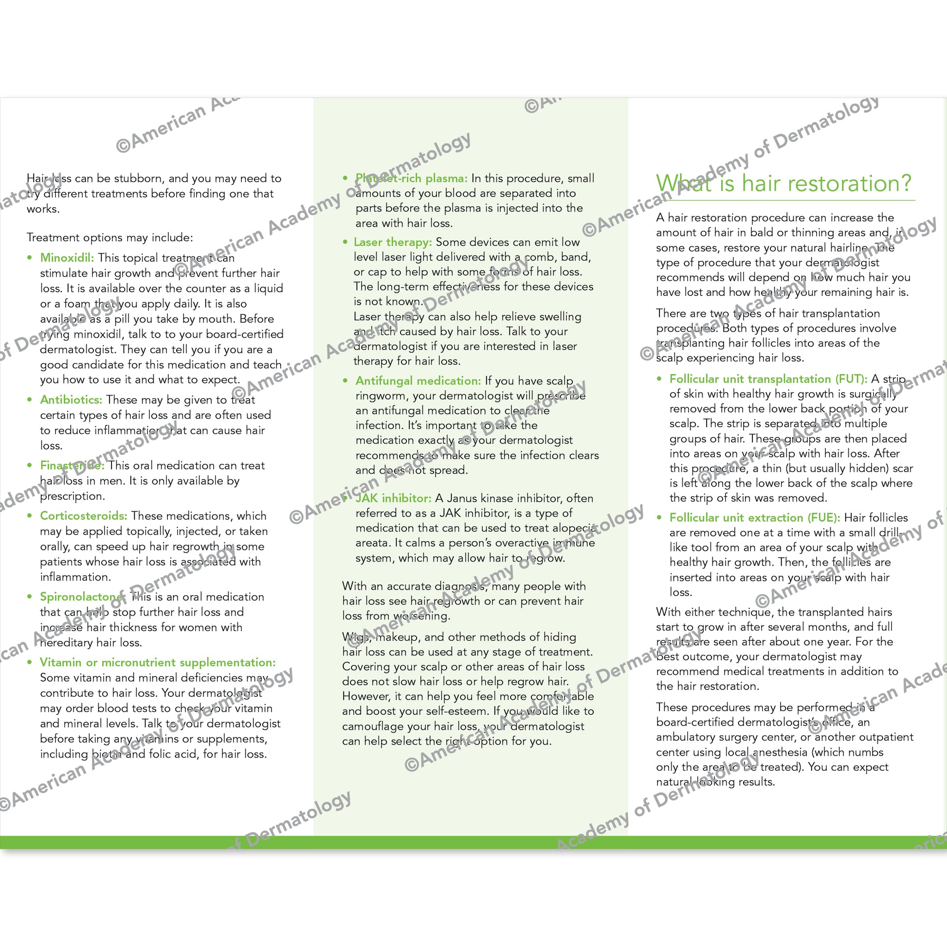 Hair Loss & Hair Restoration Pamphlet