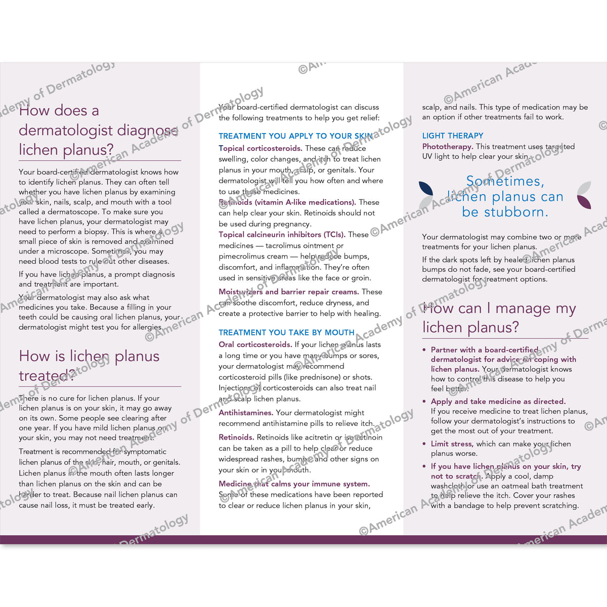 Lichen Planus Pamphlet