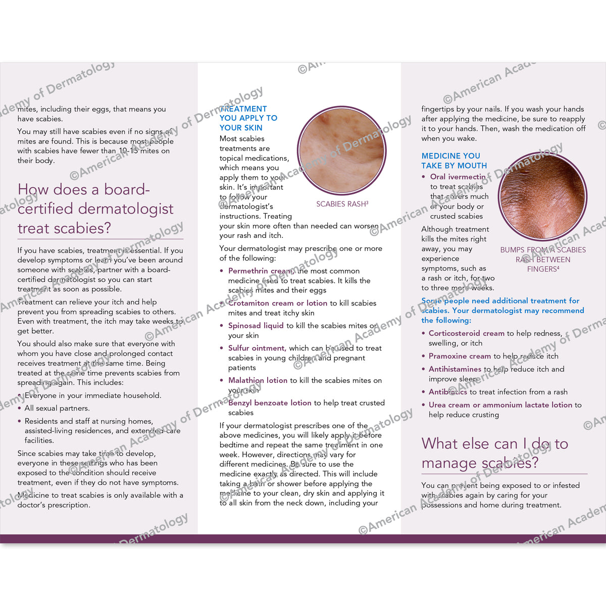 Scabies Pamphlet