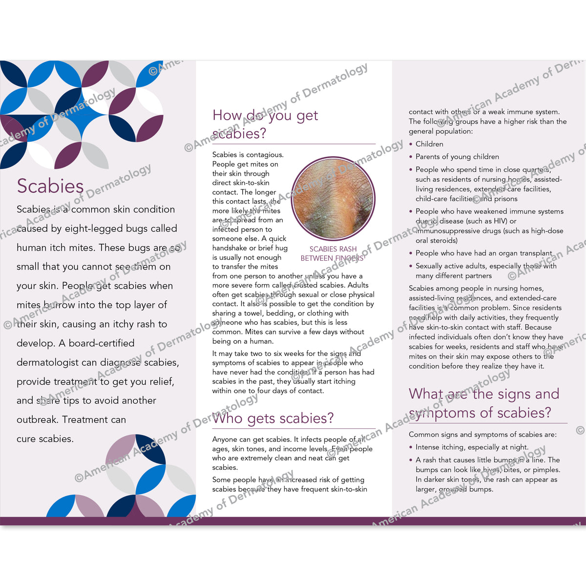 Scabies Pamphlet