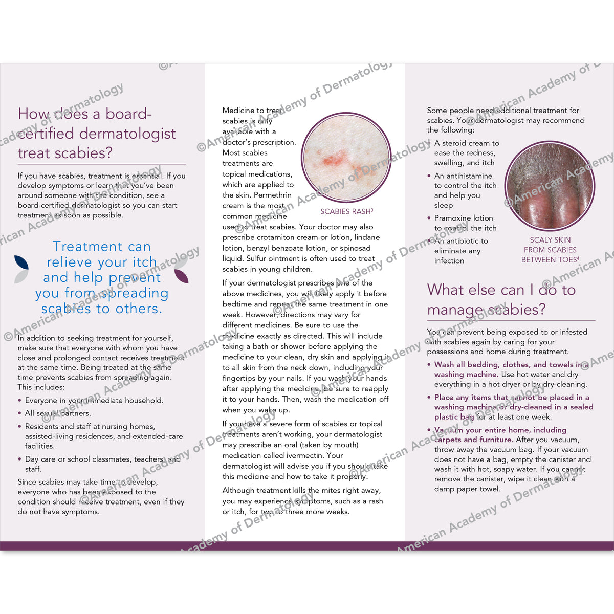 Scabies Pamphlet